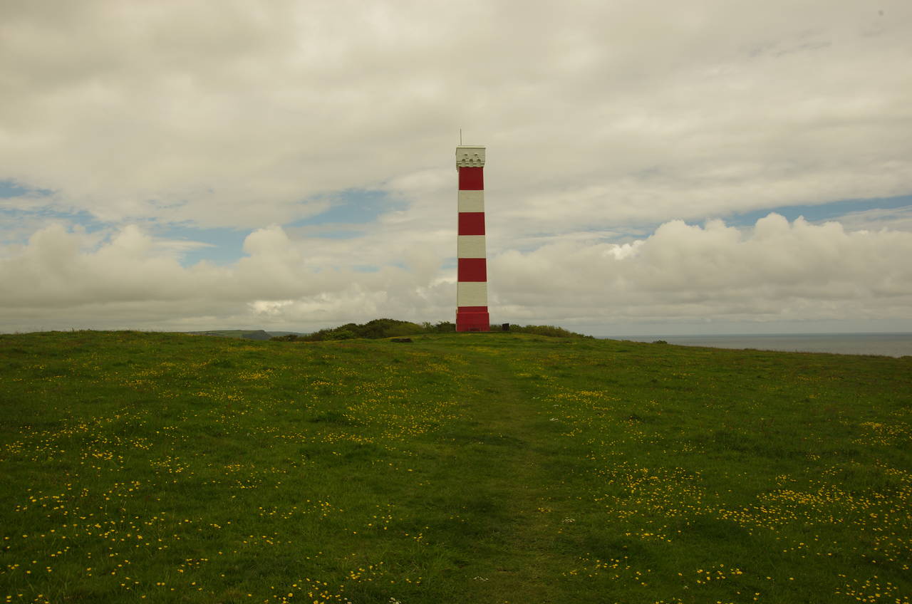 Gribbin Head