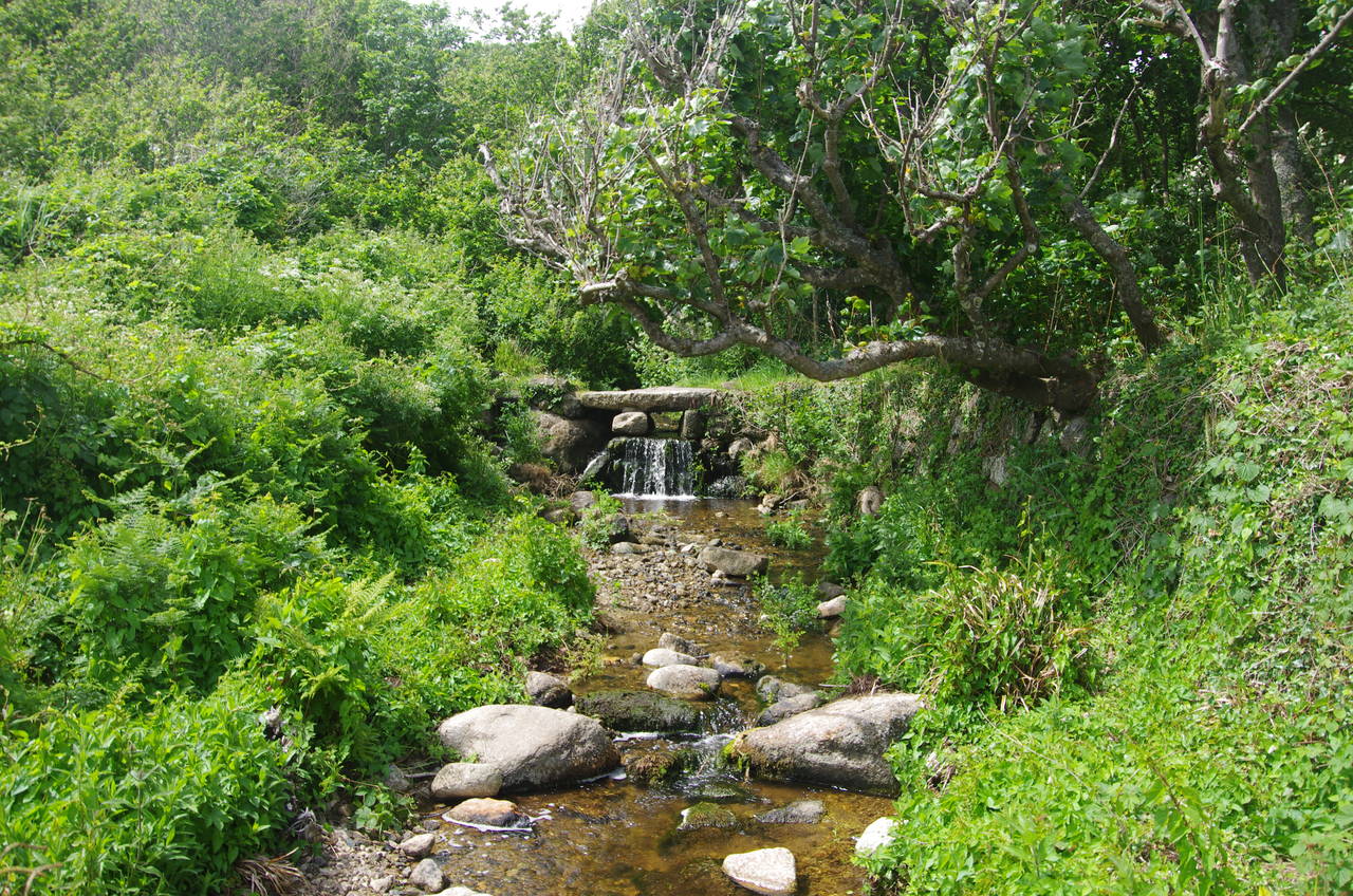 Stream flowing into St Loys Cove