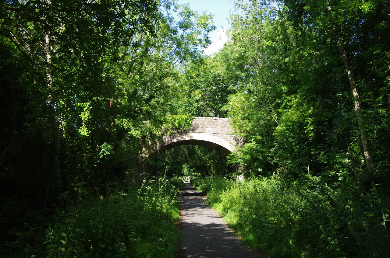 Tarka Trail near Chivenor