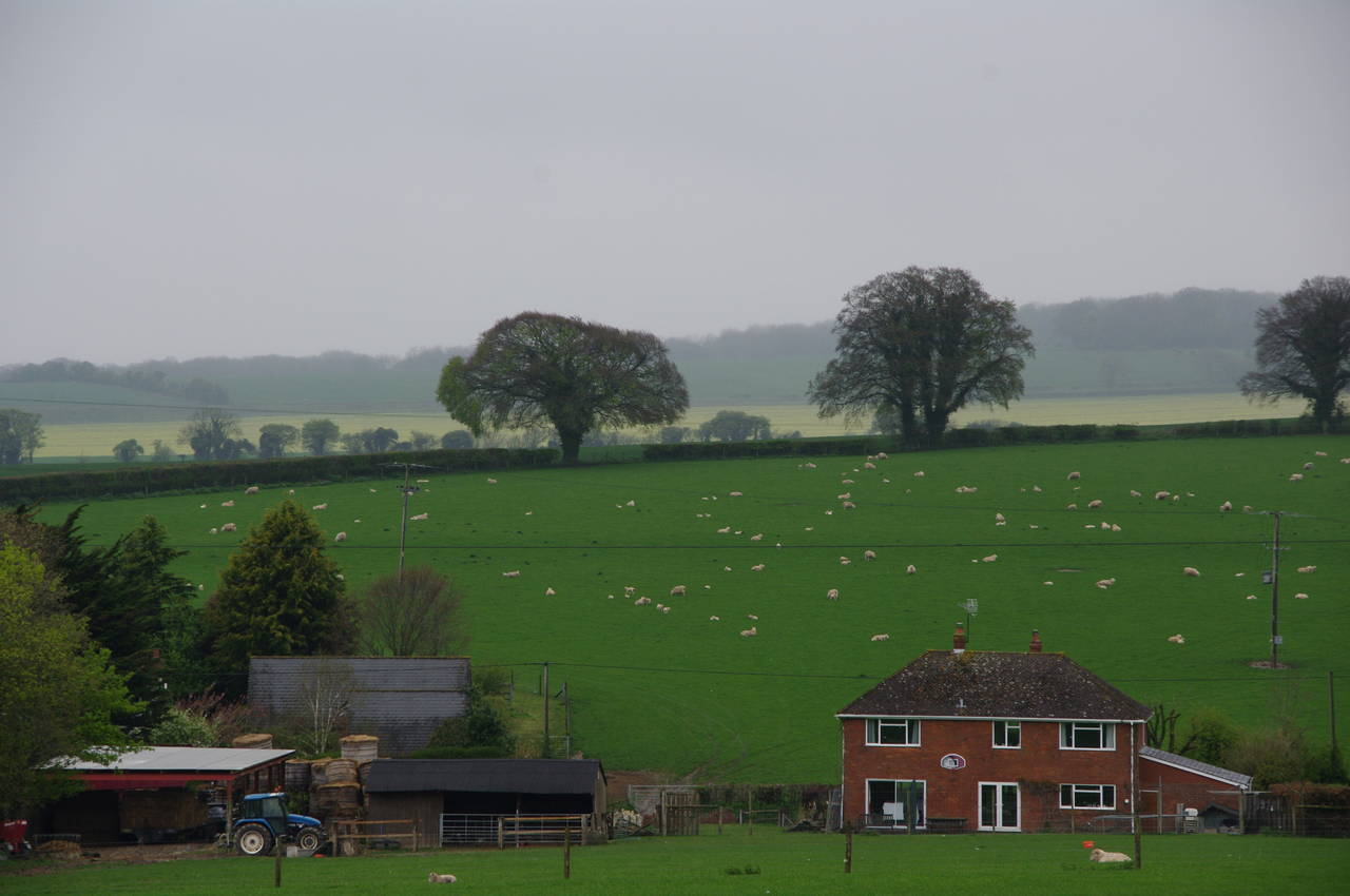 Andross Farm, near Ropley