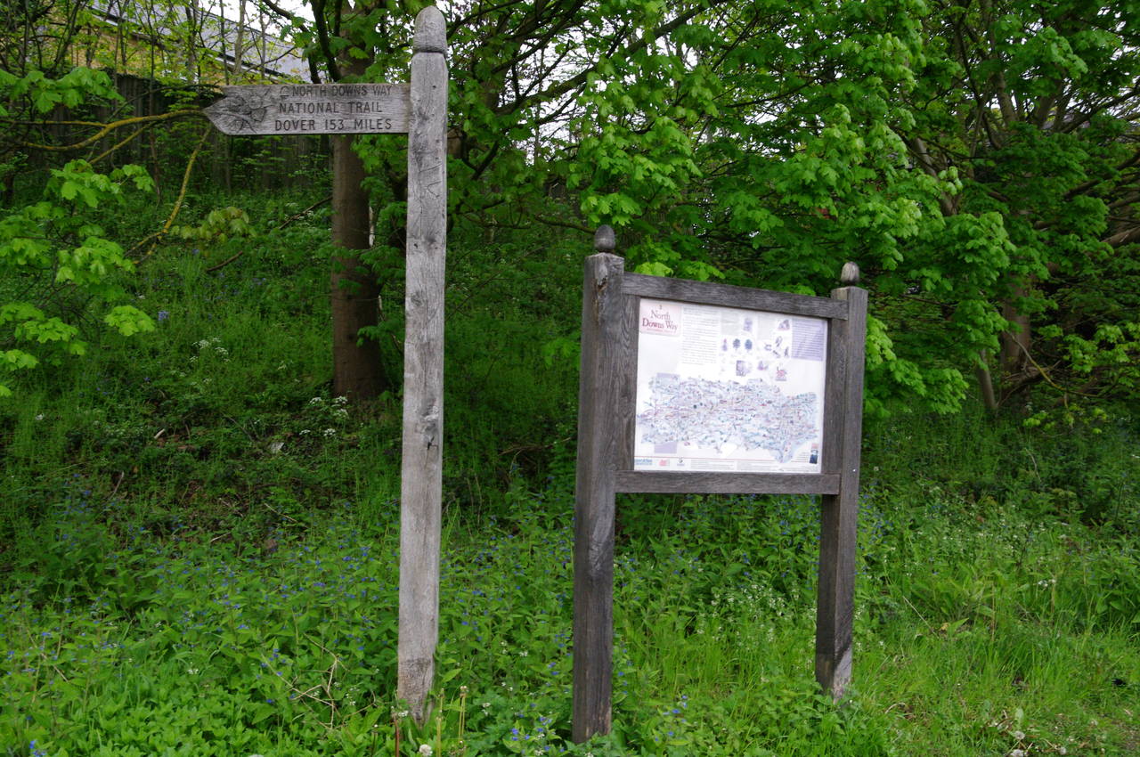 The end of St Swithun's Way