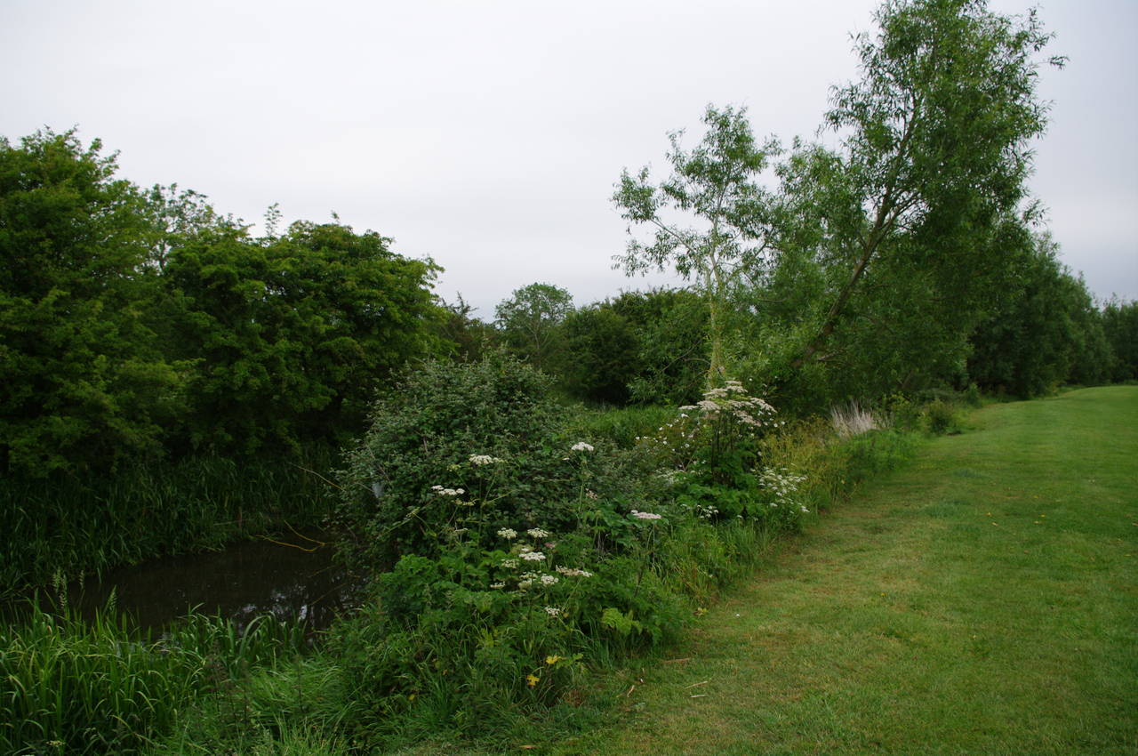 Path beside the Thames, near Cricklade