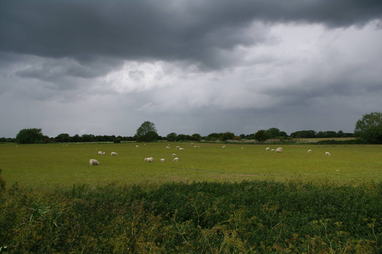 Fields near Rushey Lock