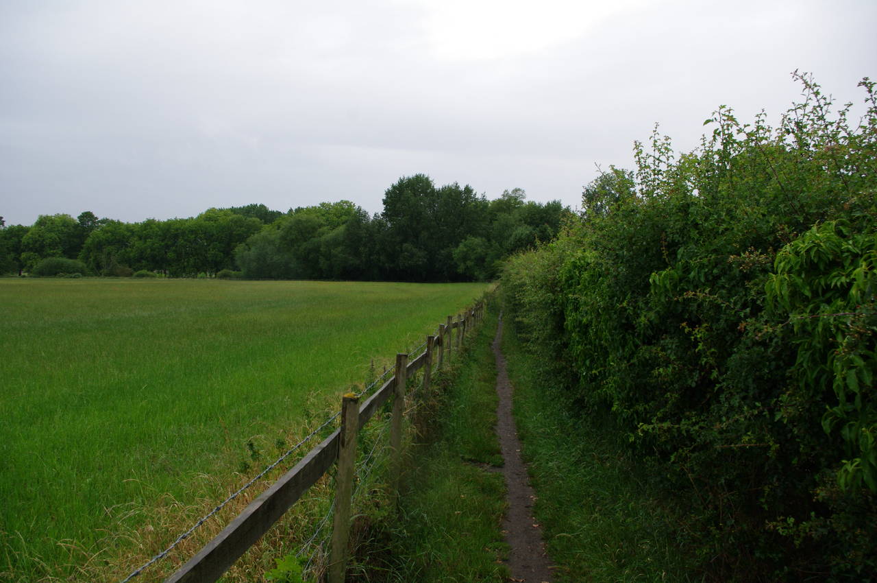 Field-edge path near Datchet