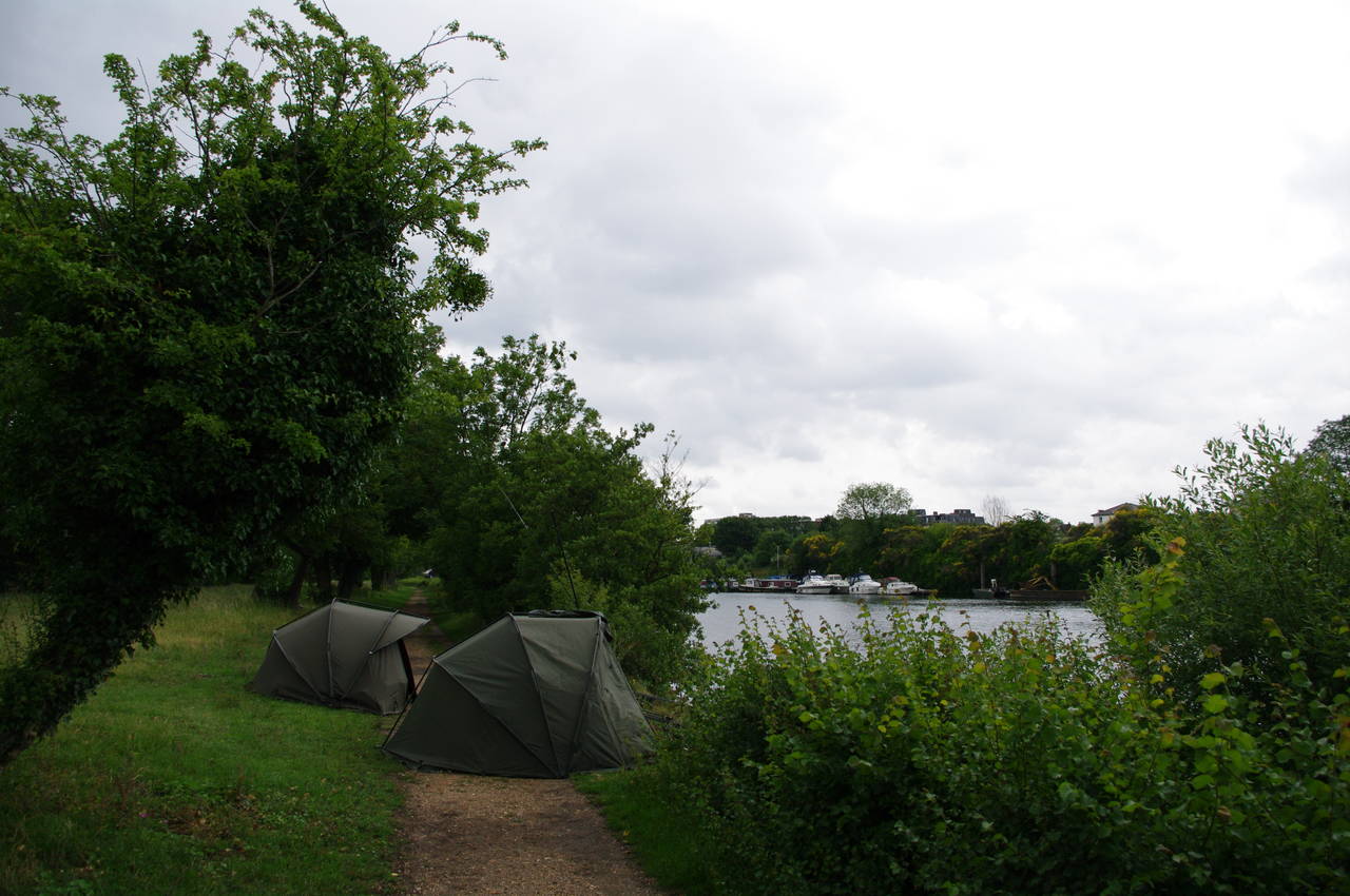 Campers, Hampton Court Park