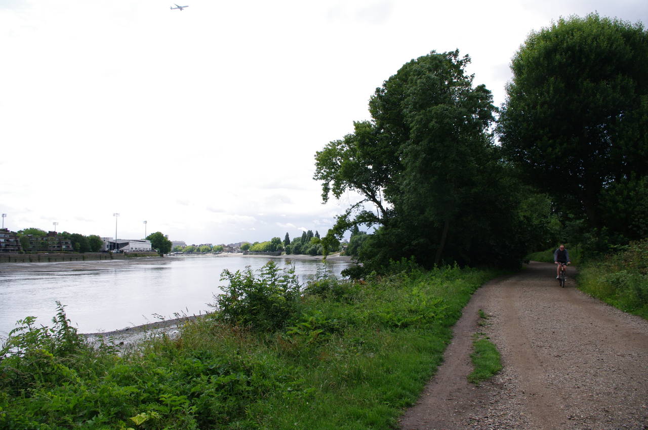 River Thames near Barnes Common