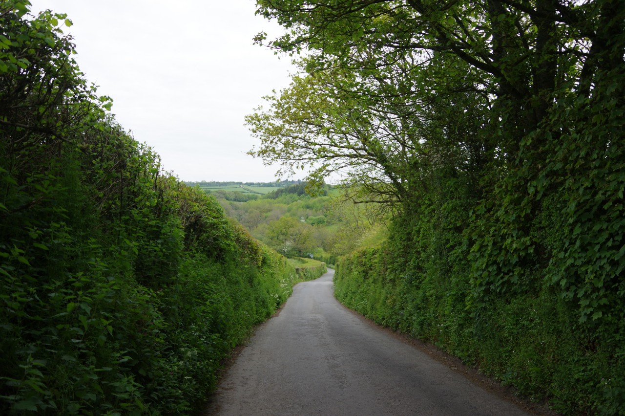 Lane descending from Drewsteignton