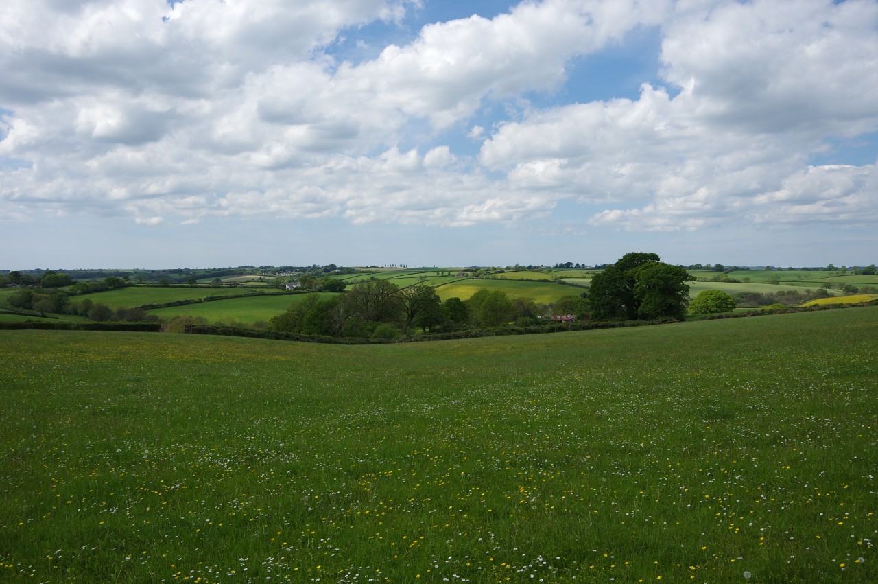 View towards Cann's Mill