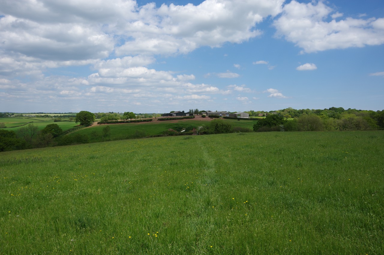 Approaching Cobscombe Farm