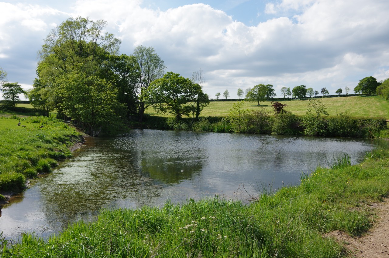 Pond near Stourton Barton