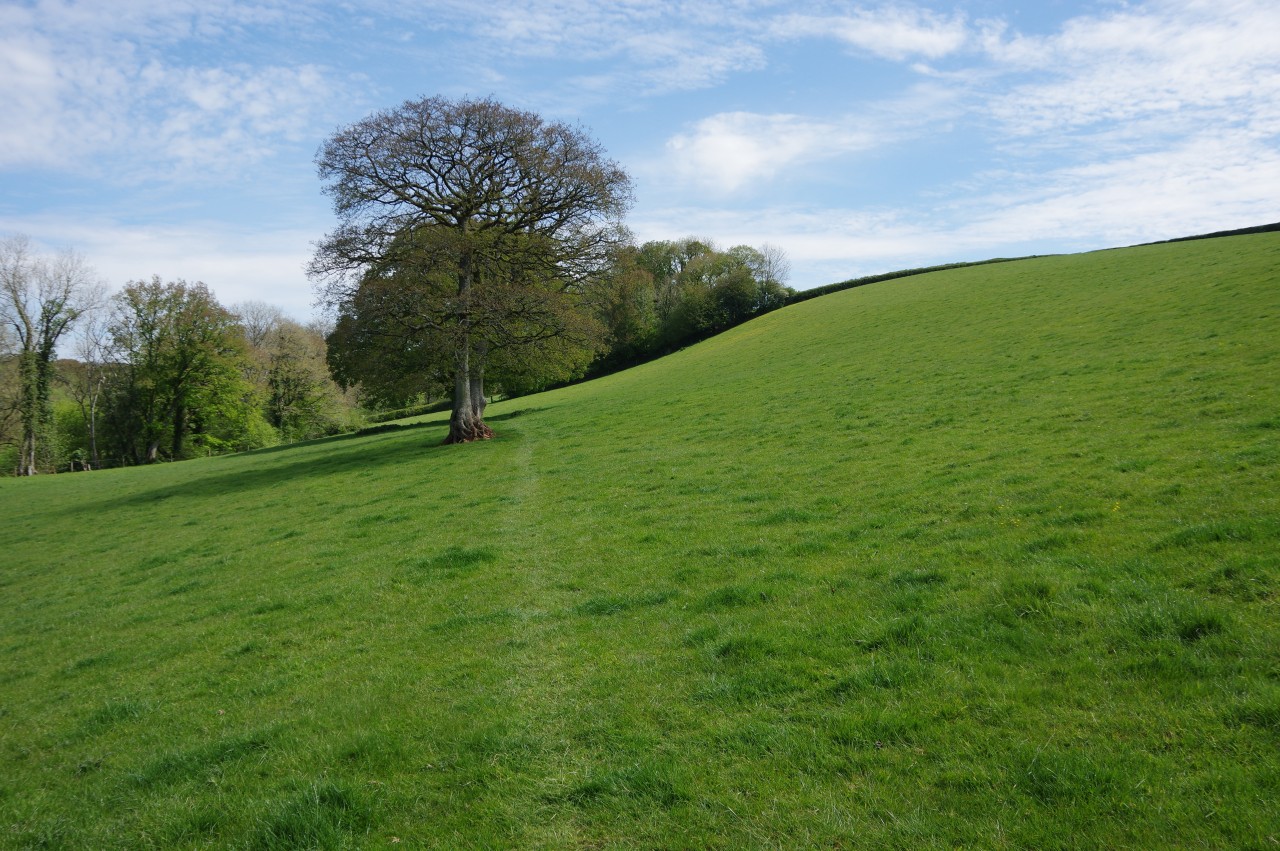 Path across open hillside