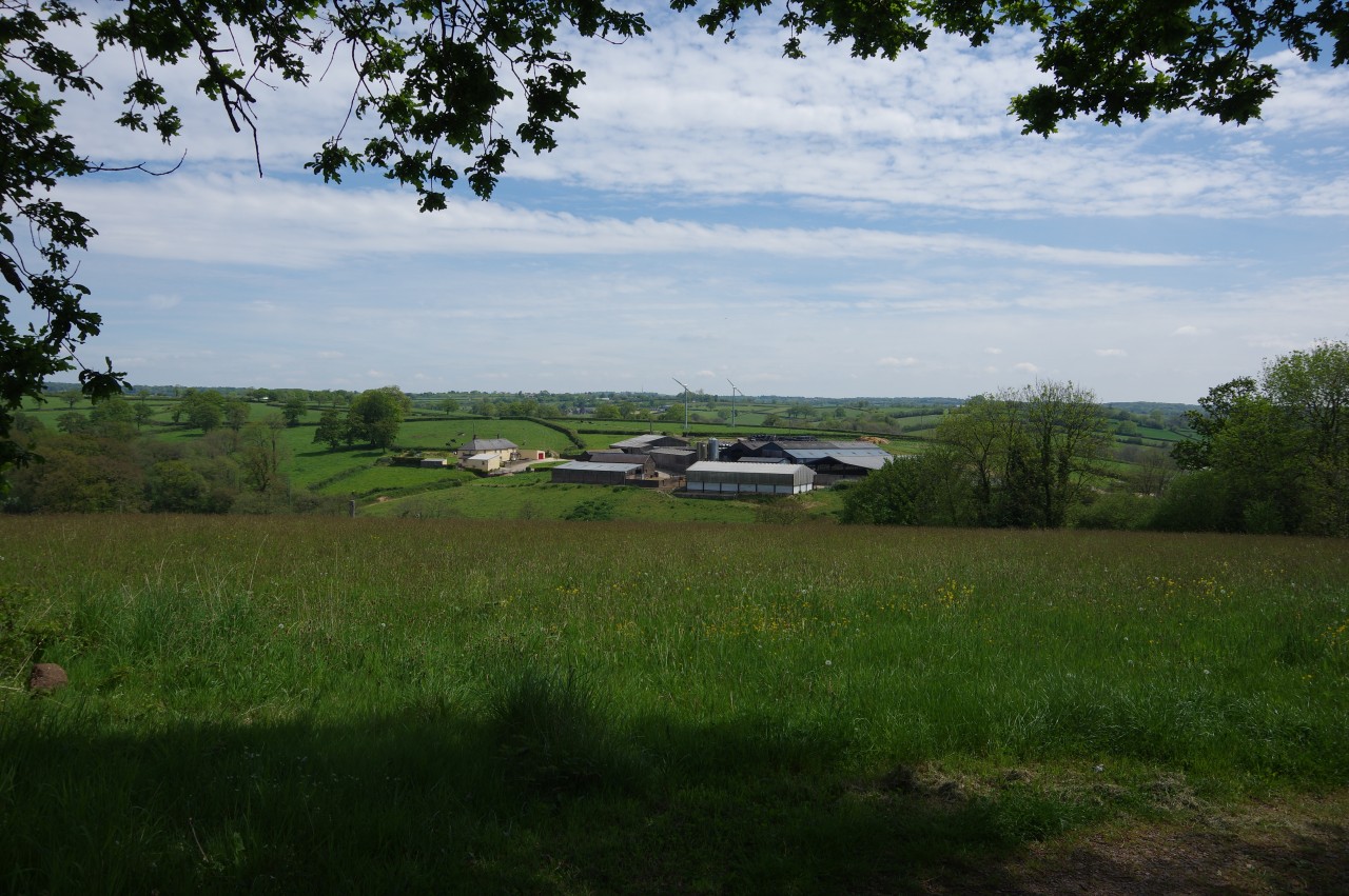 North Coombe Farm